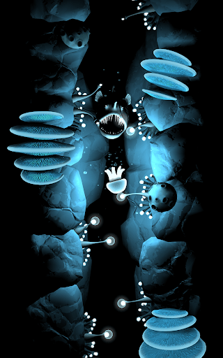 fr-pated-seashine-10.png