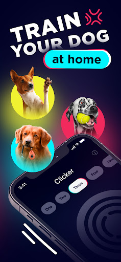 app_dogtok-2.webp