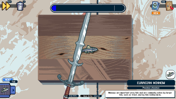 steam_3198890-14.webp