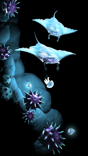 fr-pated-seashine-1.png