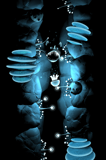 fr-pated-seashine-16.png